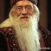 Albus Dumbledere