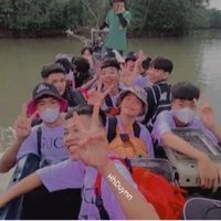cả team