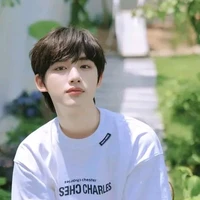 Đinh Trình Hâm
