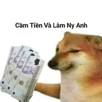 Zangyark