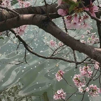 Nhân vật bí ẩn 