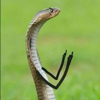 Tác giả