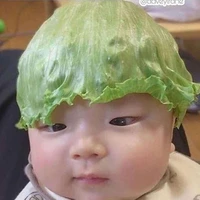 Tác Giả-Sà lách kim cương:)🥬💎