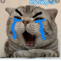 Tác giả:")
