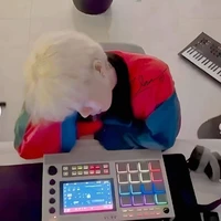 con tác giả thiếu muối