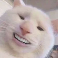 Thư Cát/TG(@sabiyt)