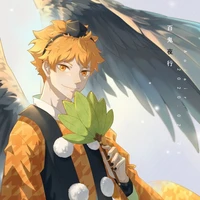 Hinata Shoyo