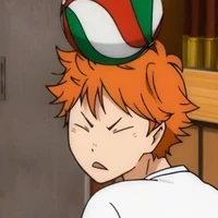 Hinata Shouyo (thụ)