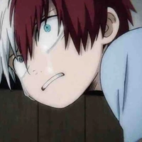 Todoroki Shoto