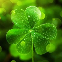 những người trọng sinh