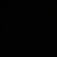 Nhân viên công ty [ n ]