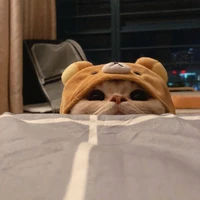 Seri(Quản lý của T/G)