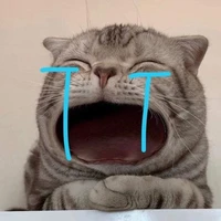 Đinh hee