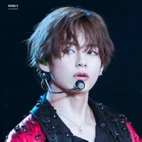 Kim Taehyung ( anh )