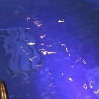 hai đứa bạn thân