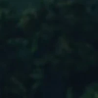 Ai đó 2