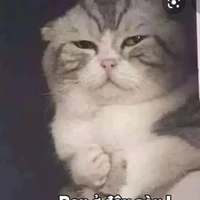 Tác Giả đáng yêu (Jinnia)