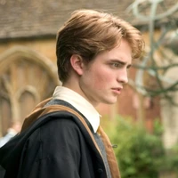 Cedric Diggory
