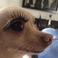 Người dân hóng hớt