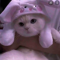 Hoàng thượng của nu9 ( tỏi )