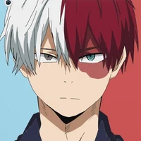 todoroki shouto