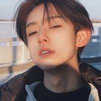 Đàm Song Tử