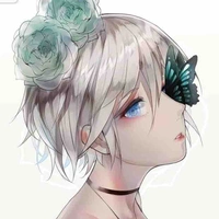 Youki anke