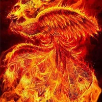 Phượng hoàng lửa-tiểu  hoả