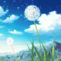 Các cô( trừ những người cần trừ)