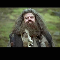 Hagrid Rubeus