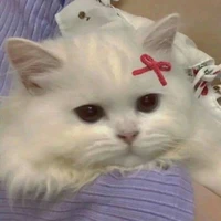 _Ranncuti