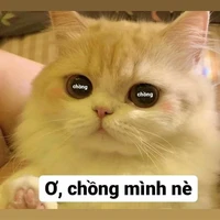 all-người cần trừ