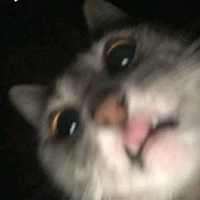 tg nè;-;