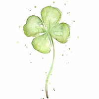 Tác giả cuteee❤️