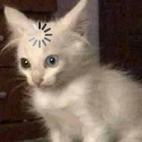 all