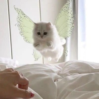 Baby Kangg=))