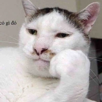 Nhân vật tổng hợp 