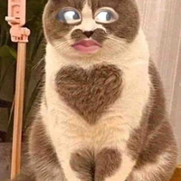 Tác giả đẹp gái😏