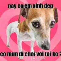 Dân thường