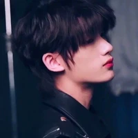 Đinh Trình Hâm