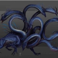 Hydra 
