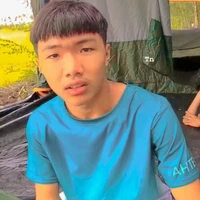 Phạm Đình Hoà