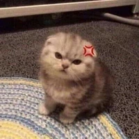 cả 2 nhóm nói :