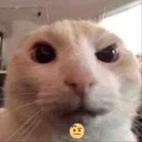 Cát xê 50k