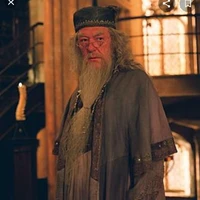 Albus Dumbledore