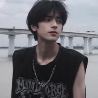 Lưu Hải Anh ( em út)