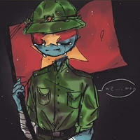 Mặt Trận (MTGPDTVN)