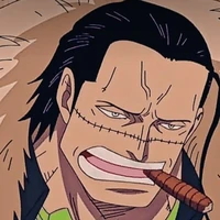 Crocodile