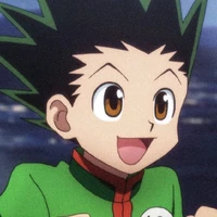 Gon Freecss