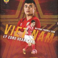 Lý Công Hoàng Anh